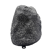 DSP647 - 15W Garden Speaker
