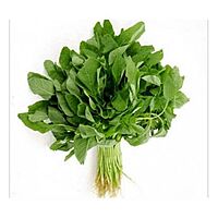 ARAI KEERAI LARGE AMARANTHUS ARITIS