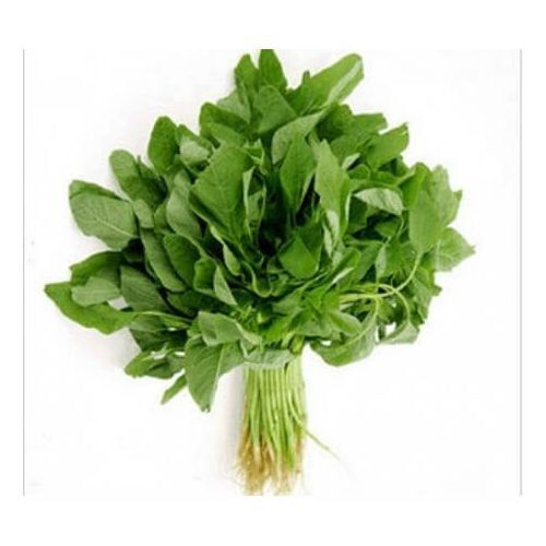 ARAI KEERAI LARGE AMARANTHUS ARITIS