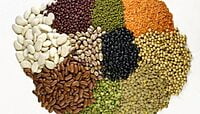 Multi Millet Seeds ( பல தானிய விதைப்பு )