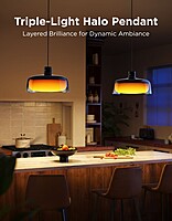 Govee RGBICWW Pendant light