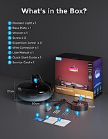 Govee RGBICWW Pendant light