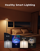 Govee RGBWW +RGBIC +WW Floor Lamp