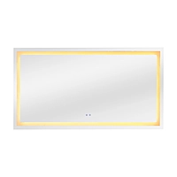Wall mirror - LED bathroom mirror (36*72 INCH)