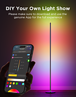 Govee Floor Lamp lite