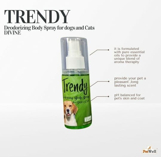 Trendy Pet Deodorant for Dogs & Cats  Divine - (Green) -