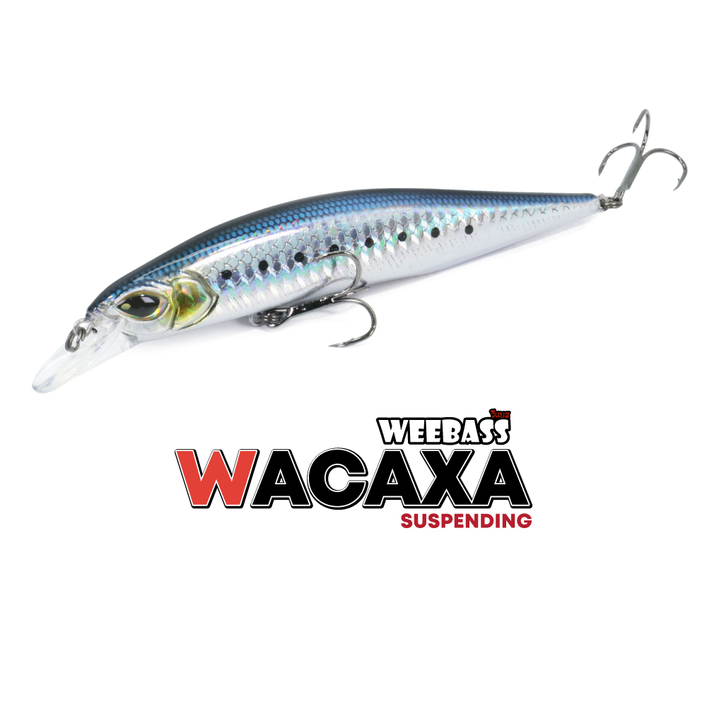 WEEBASS LURE (เหยื่อปลั๊ก) - รุ่น WACAXA FLOATING