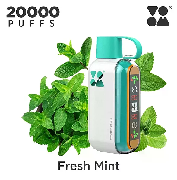 Voom 20K Fresh Mint Disposable Vape Original - Hachi Tobacco Dubai UAE