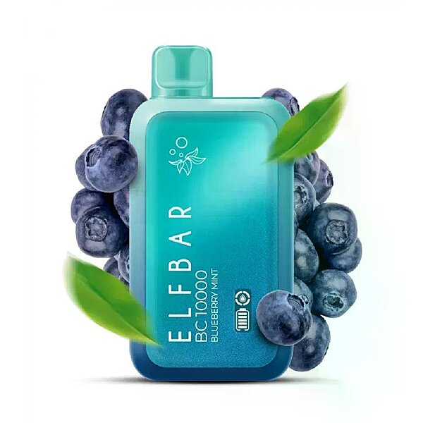 Elf Bar 10K Blueberry Mint Disposable Vape Original - Hachi Tobacco Dubai UAE
