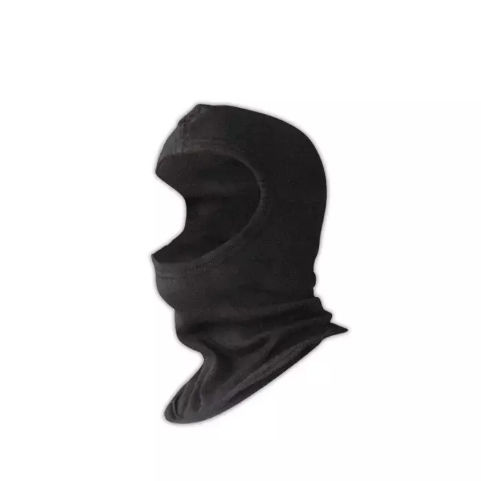 PGI Carbon Shield 3029298 Classic Style Hood