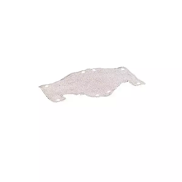 MSA Terri-Band Sweatbands