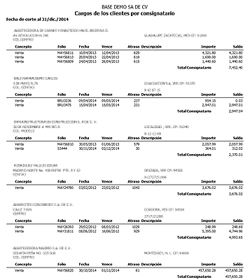 Cargos De Los Cliente Por Consignatario