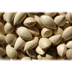 GINKO NUT 20LB