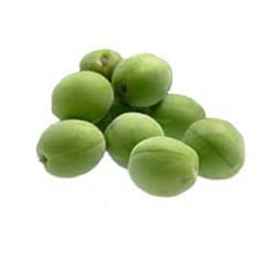 UME AOUME