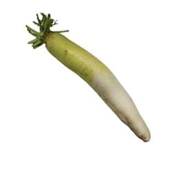 DAIKON  AOKUBI