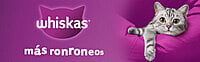 Whiskas - Whiskas Whiskas alimento para Gatos Adultos Sabor Carne Receta Orginal 9Kg Violeta