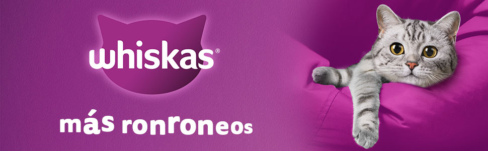 Whiskas - Whiskas Whiskas alimento para Gatos Adultos Sabor Carne Receta Orginal 9Kg Violeta