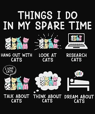 Things I Do In My Spare Time Cat T-Shirt – Funny Cat Lover Activities Tee