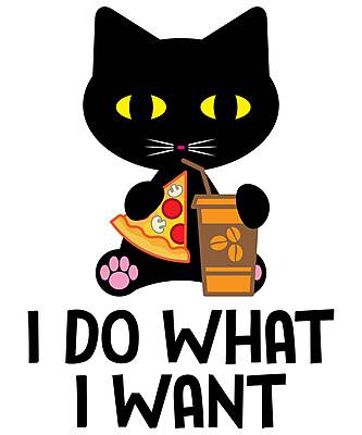 I Do What I Want Black Cat T-Shirt – Funny Cat Attitude Graphic Tee