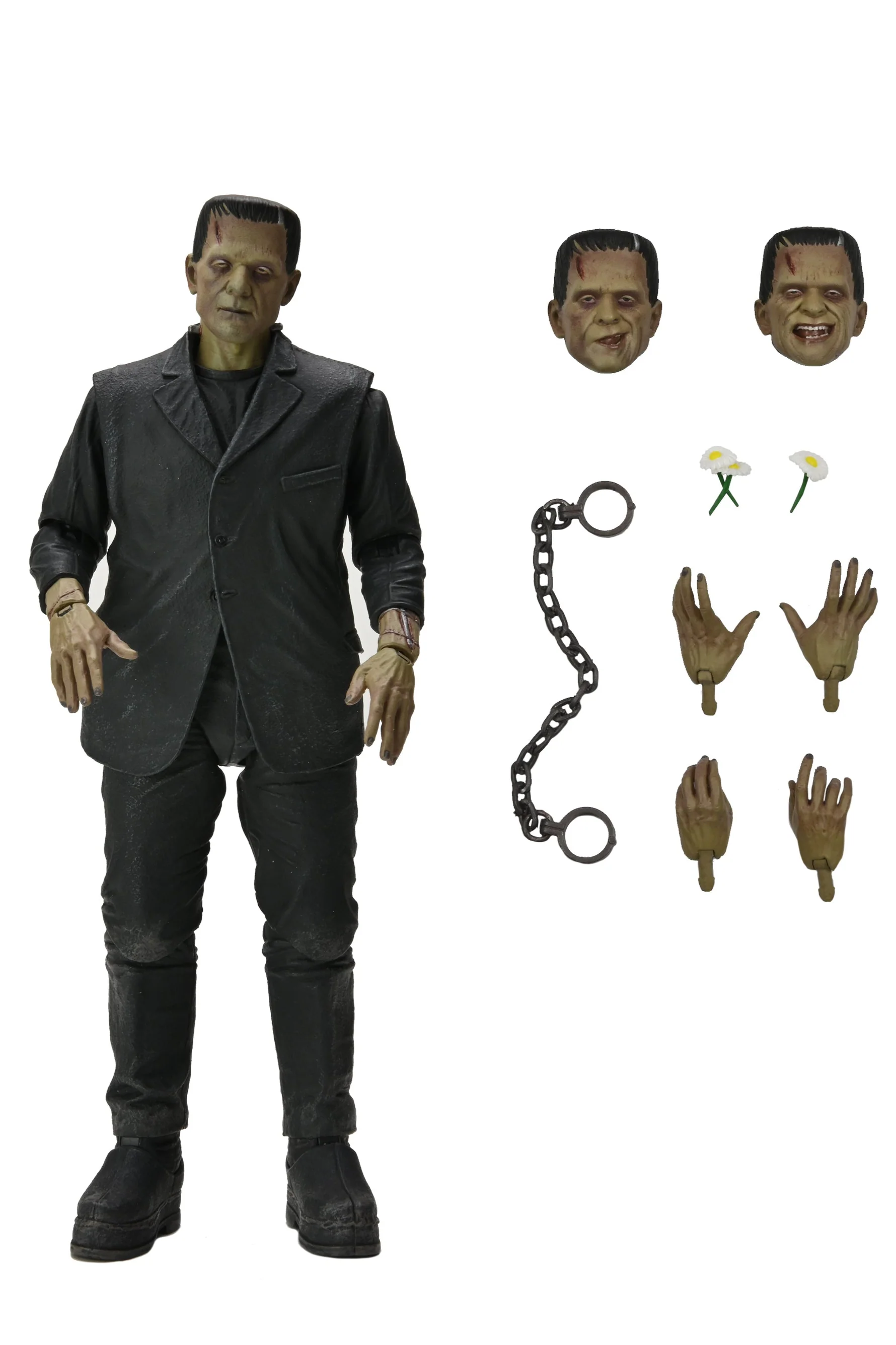 Frankenstein's Monster (Color Version)