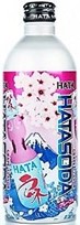 Hata Soda Grape 500ml_24/1.1 lbs