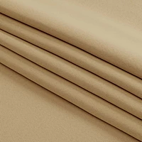 Patin Solid Thermal Window Curtains 2 Panels, Dual Rod Pocket