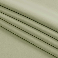Patin Solid Thermal Window Curtains 2 Panels, Dual Rod Pocket