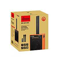 Oudiobop BK-SZ1203 Portable Rechargeable Sound System with Dual Microphones