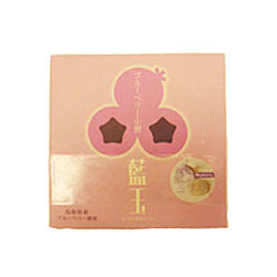 SANEIDO/BLUEBERRY KOMOCHI