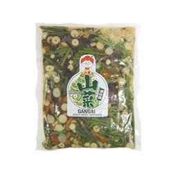 SANSAI MIX MIZUNI 453ｇ