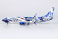 Alaska Airlines 737-800/w Salmon People