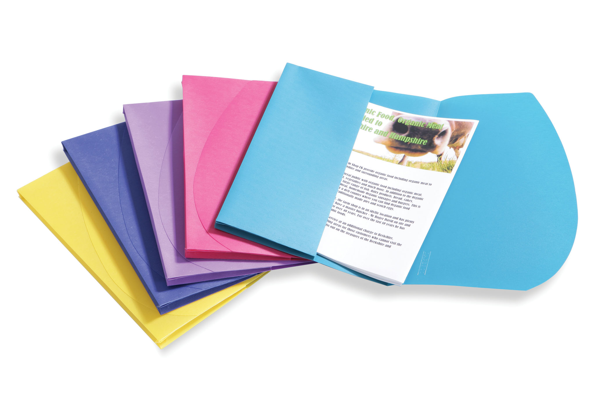 POLY WALLET BRIGHT ASSD RAPESCO 0702