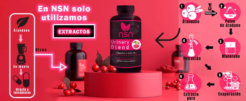 Vitaminas para el tracto Urinario