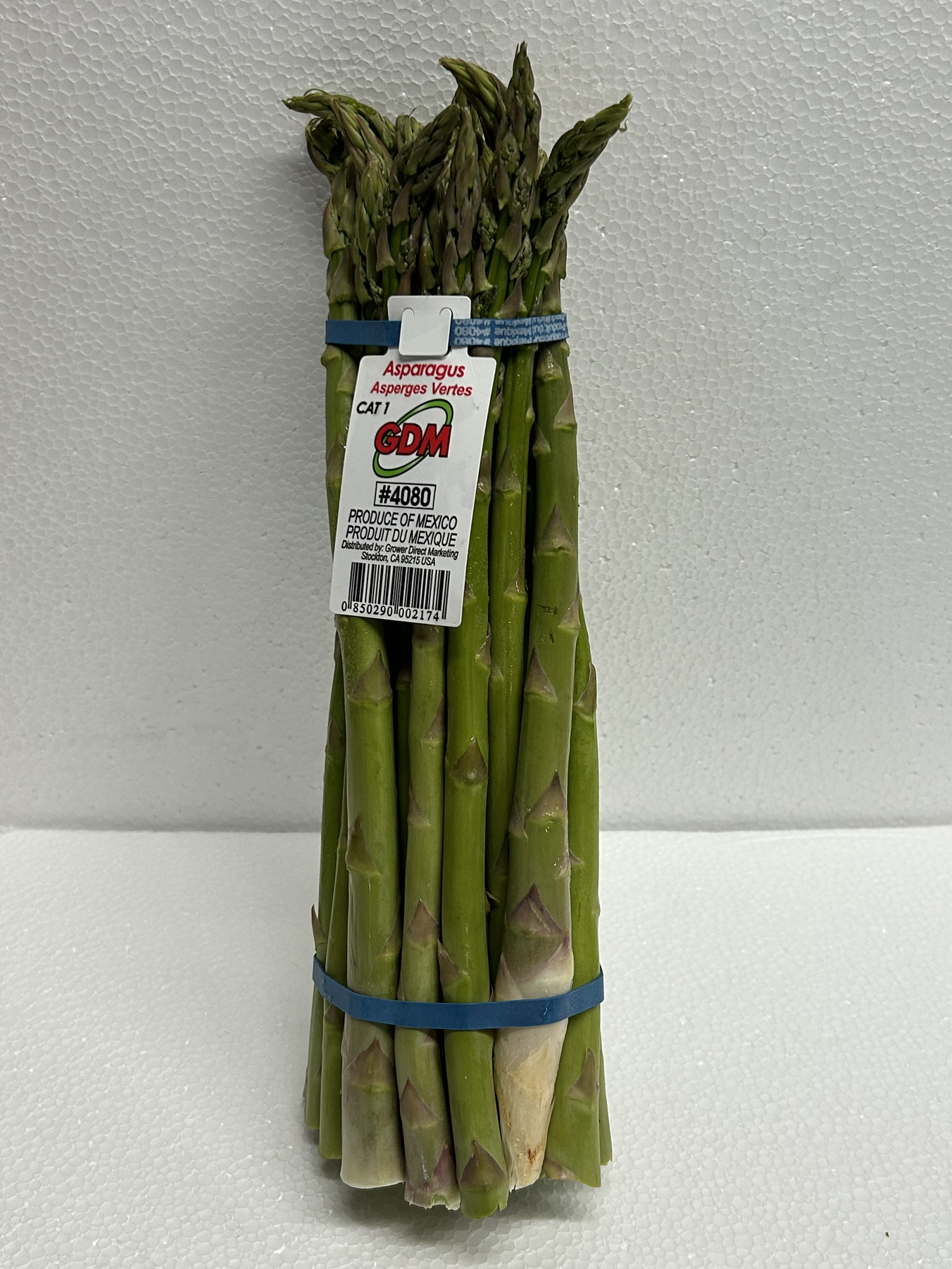ASPARAGUS 11#