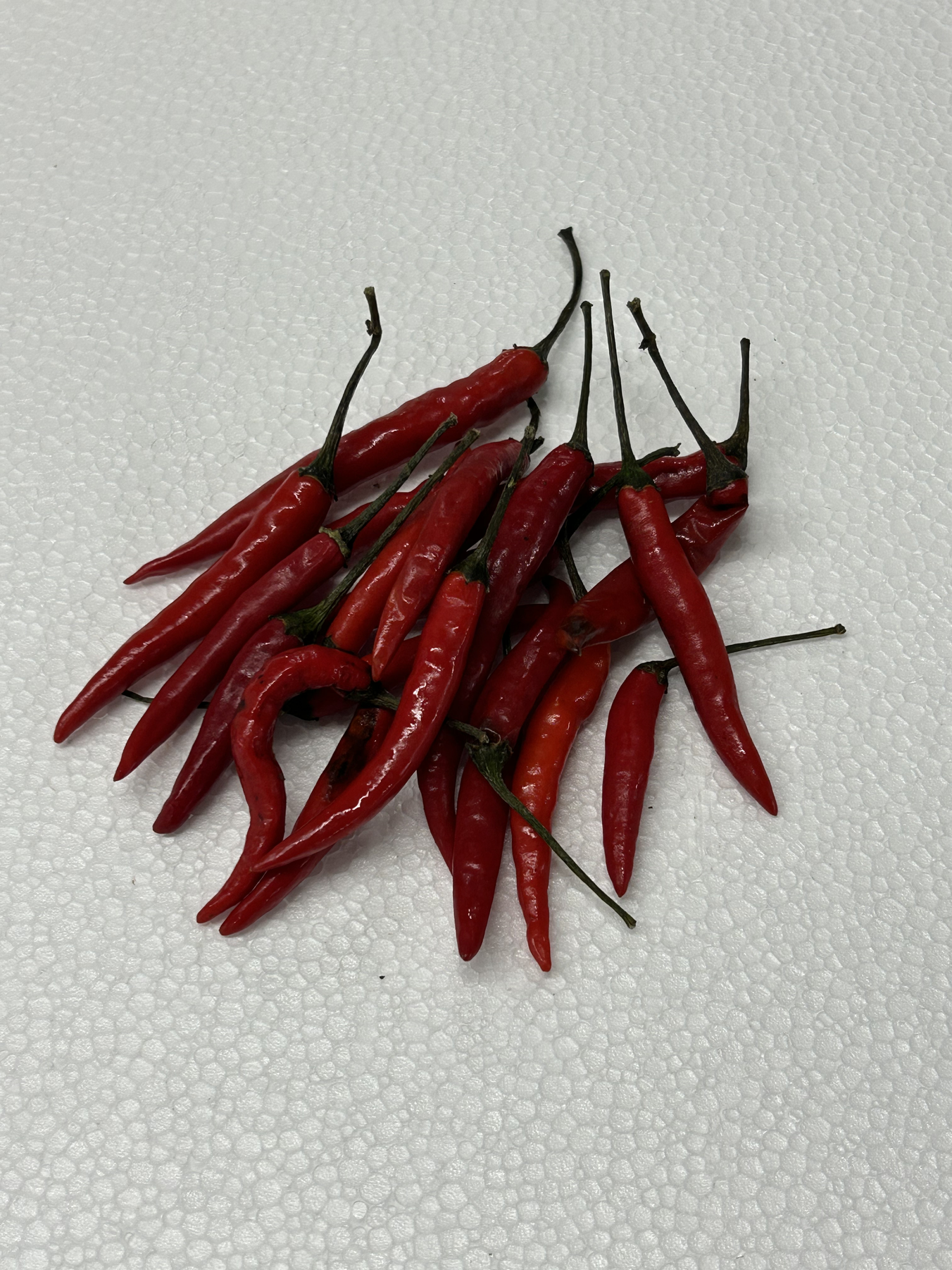 CHILI THAI RED 30#