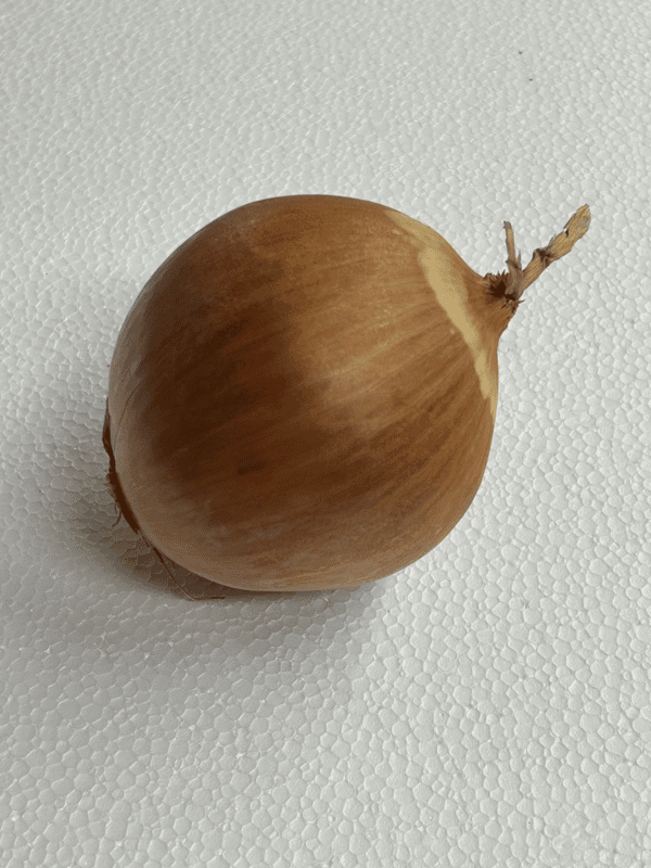 ONION BROWN MED 50# SK