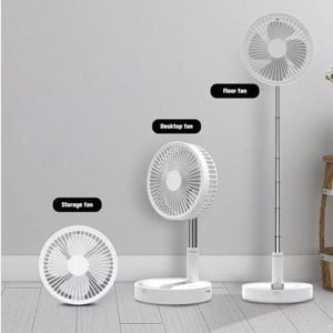 LONG POLE FOLDABLE FAN