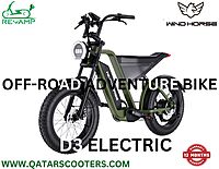 Windhorse Electric Bike D3