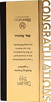 SHERATON  CUSTOM CUTOUT TROPHY