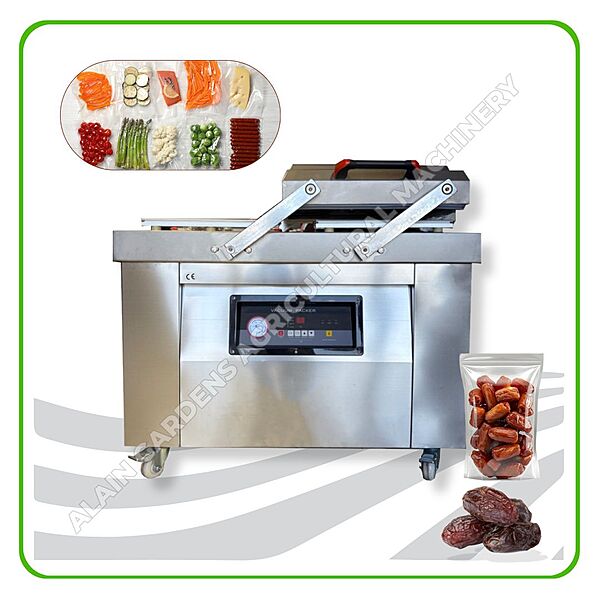 Vacuum Packaging Machine – Model DZ400-2S (Large Size)