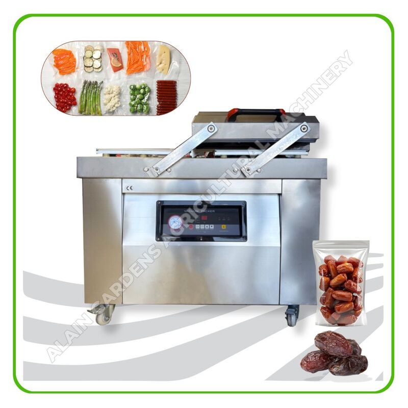 Vacuum Packaging Machine – Model DZ400-2S (Large Size)