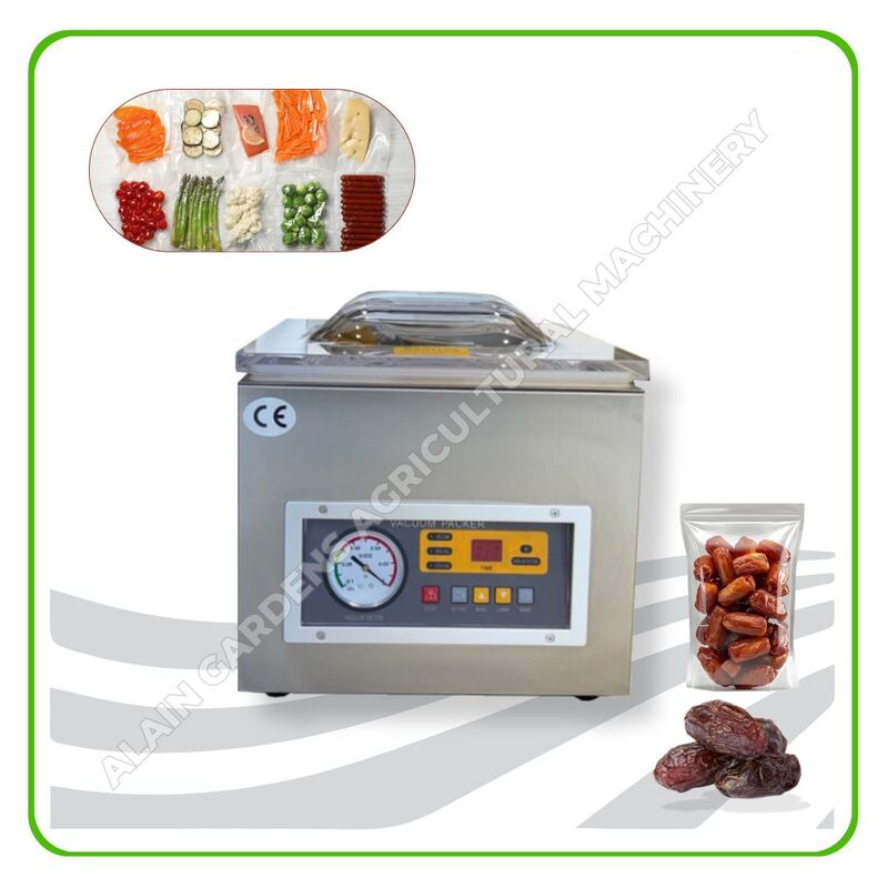 Vacuum Packaging Machine – Model DZ-260C (Compact Size)