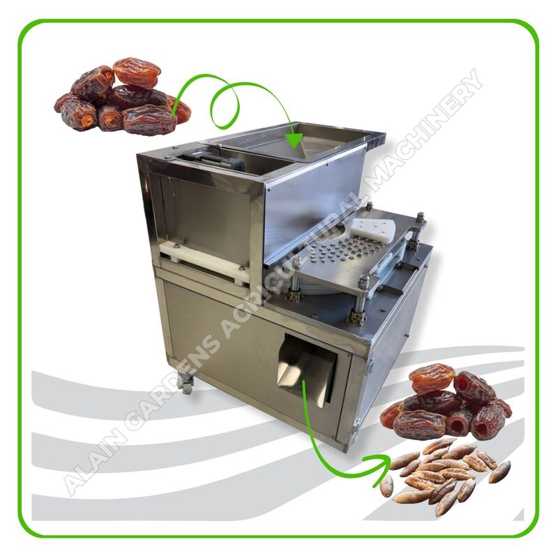 Date Pitting Machine – Industrial Model – High Efficiency