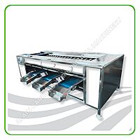 Date Sorting Machine – 3 Size Levels – Industrial Model