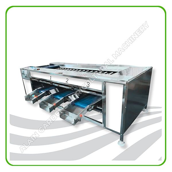 Date Sorting Machine – 3 Size Levels – Industrial Model