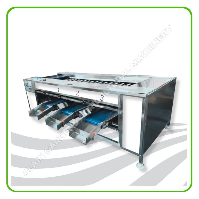 Date Sorting Machine – 3 Size Levels – Industrial Model