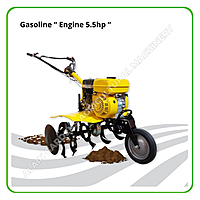 Tiller Eagle – Gasoline Engine 5.5hp