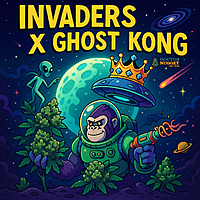 Invaders x Ghost Kong Indoor Hidropónica Premium
