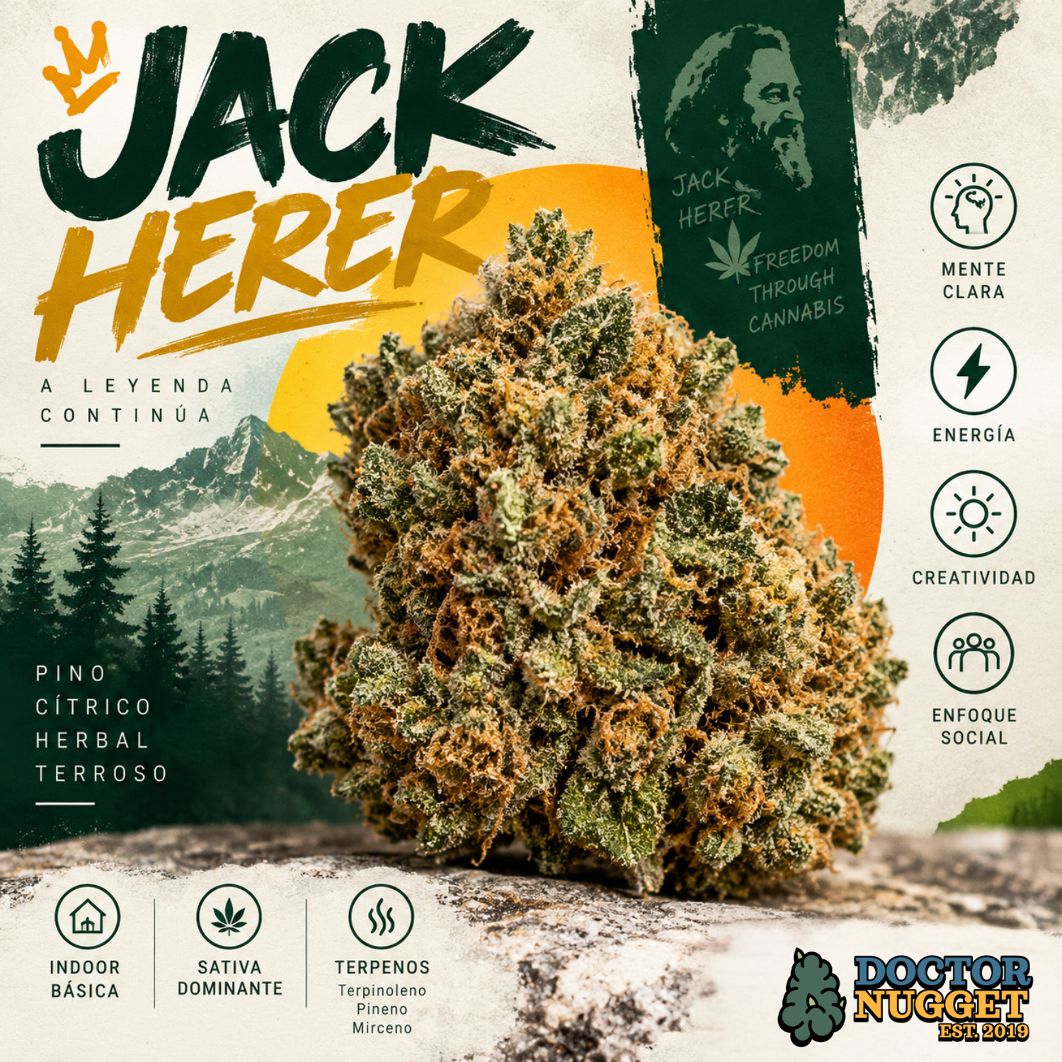Jack Herer Indoor Básica