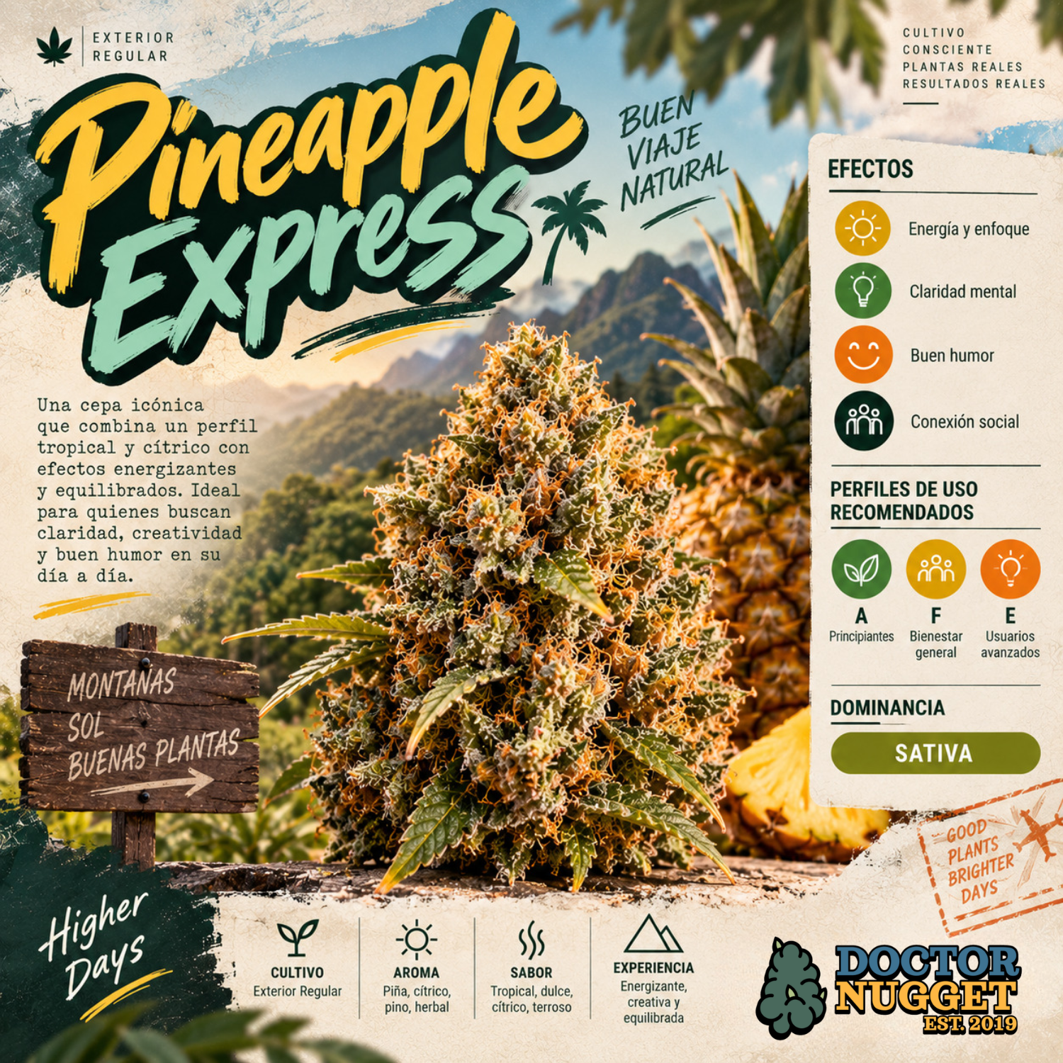 Pineapple Express flor exterior regular